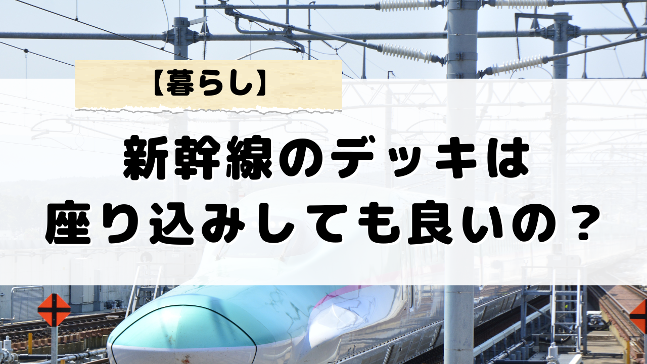 新幹線デッキでの座り込みはどこまで許可されるか